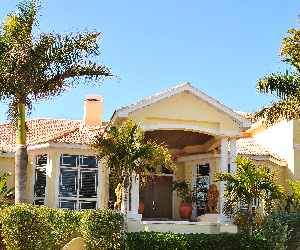 WDO Inspections in New Smyrna Beach, FL